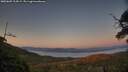 ./images/calvert/fitz-hugh-hecate/20250607/fitz-hugh-hecate20250607_214509M.jpg