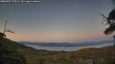 ./images/calvert/fitz-hugh-hecate/20250607/fitz-hugh-hecate20250607_215009M.jpg