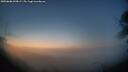 ./images/calvert/fitz-hugh-hecate/20250608/fitz-hugh-hecate20250608_043008M.jpg