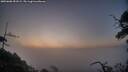 ./images/calvert/fitz-hugh-hecate/20250608/fitz-hugh-hecate20250608_051009M.jpg