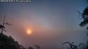 ./images/calvert/fitz-hugh-hecate/20250608/fitz-hugh-hecate20250608_053009M.jpg