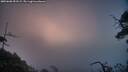 ./images/calvert/fitz-hugh-hecate/20250608/fitz-hugh-hecate20250608_053508M.jpg