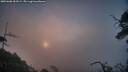 ./images/calvert/fitz-hugh-hecate/20250608/fitz-hugh-hecate20250608_054508M.jpg