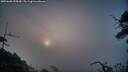 ./images/calvert/fitz-hugh-hecate/20250608/fitz-hugh-hecate20250608_055009M.jpg