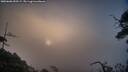 ./images/calvert/fitz-hugh-hecate/20250608/fitz-hugh-hecate20250608_055508M.jpg