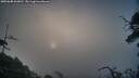 ./images/calvert/fitz-hugh-hecate/20250608/fitz-hugh-hecate20250608_060011M.jpg