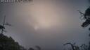 ./images/calvert/fitz-hugh-hecate/20250608/fitz-hugh-hecate20250608_060510M.jpg