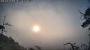 ./images/calvert/fitz-hugh-hecate/20250608/fitz-hugh-hecate20250608_061009M.jpg