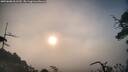 ./images/calvert/fitz-hugh-hecate/20250608/fitz-hugh-hecate20250608_061510M.jpg
