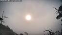 ./images/calvert/fitz-hugh-hecate/20250608/fitz-hugh-hecate20250608_064010M.jpg