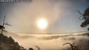 ./images/calvert/fitz-hugh-hecate/20250608/fitz-hugh-hecate20250608_065009M.jpg