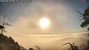 ./images/calvert/fitz-hugh-hecate/20250608/fitz-hugh-hecate20250608_070509M.jpg