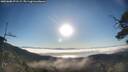 ./images/calvert/fitz-hugh-hecate/20250608/fitz-hugh-hecate20250608_071508M.jpg