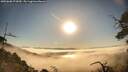 ./images/calvert/fitz-hugh-hecate/20250608/fitz-hugh-hecate20250608_073010M.jpg