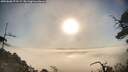 ./images/calvert/fitz-hugh-hecate/20250608/fitz-hugh-hecate20250608_073509M.jpg