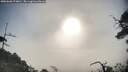 ./images/calvert/fitz-hugh-hecate/20250608/fitz-hugh-hecate20250608_074010M.jpg