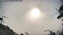 ./images/calvert/fitz-hugh-hecate/20250608/fitz-hugh-hecate20250608_074509M.jpg