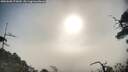 ./images/calvert/fitz-hugh-hecate/20250608/fitz-hugh-hecate20250608_075010M.jpg