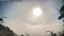./images/calvert/fitz-hugh-hecate/20250608/fitz-hugh-hecate20250608_075509M.jpg