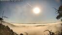 ./images/calvert/fitz-hugh-hecate/20250608/fitz-hugh-hecate20250608_080011M.jpg