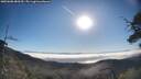 ./images/calvert/fitz-hugh-hecate/20250608/fitz-hugh-hecate20250608_080510M.jpg