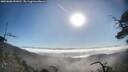 ./images/calvert/fitz-hugh-hecate/20250608/fitz-hugh-hecate20250608_081010M.jpg
