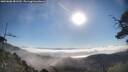 ./images/calvert/fitz-hugh-hecate/20250608/fitz-hugh-hecate20250608_081510M.jpg