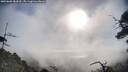 ./images/calvert/fitz-hugh-hecate/20250608/fitz-hugh-hecate20250608_082010M.jpg
