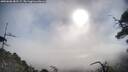 ./images/calvert/fitz-hugh-hecate/20250608/fitz-hugh-hecate20250608_082508M.jpg