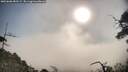 ./images/calvert/fitz-hugh-hecate/20250608/fitz-hugh-hecate20250608_083509M.jpg