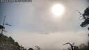 ./images/calvert/fitz-hugh-hecate/20250608/fitz-hugh-hecate20250608_084009M.jpg