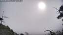 ./images/calvert/fitz-hugh-hecate/20250608/fitz-hugh-hecate20250608_085009M.jpg