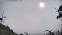 ./images/calvert/fitz-hugh-hecate/20250608/fitz-hugh-hecate20250608_085509M.jpg