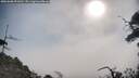 ./images/calvert/fitz-hugh-hecate/20250608/fitz-hugh-hecate20250608_091010M.jpg