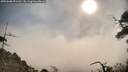 ./images/calvert/fitz-hugh-hecate/20250608/fitz-hugh-hecate20250608_091510M.jpg