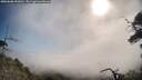 ./images/calvert/fitz-hugh-hecate/20250608/fitz-hugh-hecate20250608_092010M.jpg