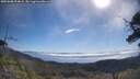 ./images/calvert/fitz-hugh-hecate/20250608/fitz-hugh-hecate20250608_094008M.jpg