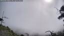 ./images/calvert/fitz-hugh-hecate/20250608/fitz-hugh-hecate20250608_100010M.jpg