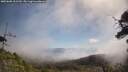 ./images/calvert/fitz-hugh-hecate/20250608/fitz-hugh-hecate20250608_102510M.jpg
