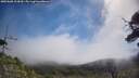./images/calvert/fitz-hugh-hecate/20250608/fitz-hugh-hecate20250608_103009M.jpg