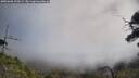 ./images/calvert/fitz-hugh-hecate/20250608/fitz-hugh-hecate20250608_105008M.jpg