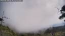 ./images/calvert/fitz-hugh-hecate/20250608/fitz-hugh-hecate20250608_105510M.jpg