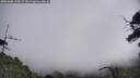 ./images/calvert/fitz-hugh-hecate/20250608/fitz-hugh-hecate20250608_110509M.jpg