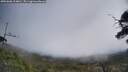 ./images/calvert/fitz-hugh-hecate/20250608/fitz-hugh-hecate20250608_114010M.jpg