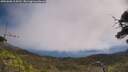 ./images/calvert/fitz-hugh-hecate/20250608/fitz-hugh-hecate20250608_114510M.jpg