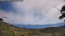 ./images/calvert/fitz-hugh-hecate/20250608/fitz-hugh-hecate20250608_115010M.jpg