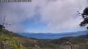 ./images/calvert/fitz-hugh-hecate/20250608/fitz-hugh-hecate20250608_120011M.jpg