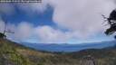 ./images/calvert/fitz-hugh-hecate/20250608/fitz-hugh-hecate20250608_122508M.jpg