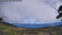 ./images/calvert/fitz-hugh-hecate/20250608/fitz-hugh-hecate20250608_125008M.jpg