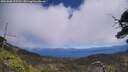 ./images/calvert/fitz-hugh-hecate/20250608/fitz-hugh-hecate20250608_125510M.jpg